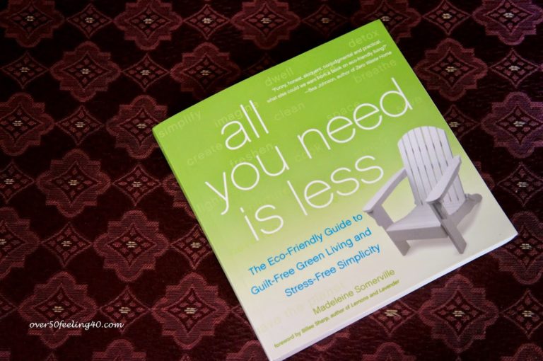 Book Review:  All You Need Is Less