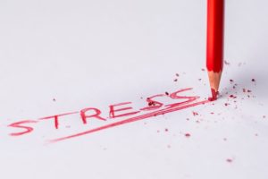 Pamela Lutrell discusses news about holiday stress