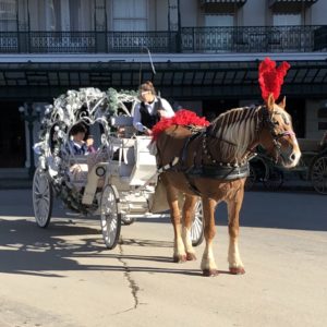 Pamela Lutrell in horse drawn carriage in San Antonio