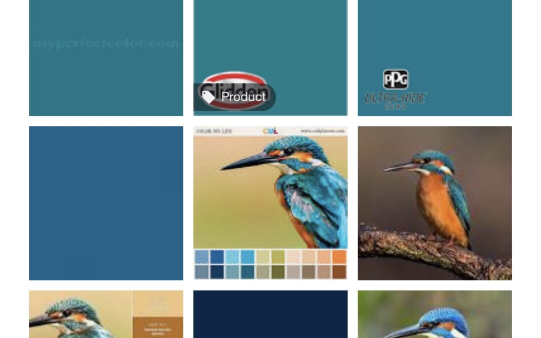 The search for kingfisher blue