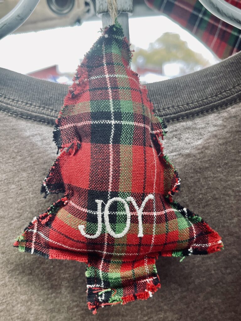 Joy Notes #5: Joy is all around 