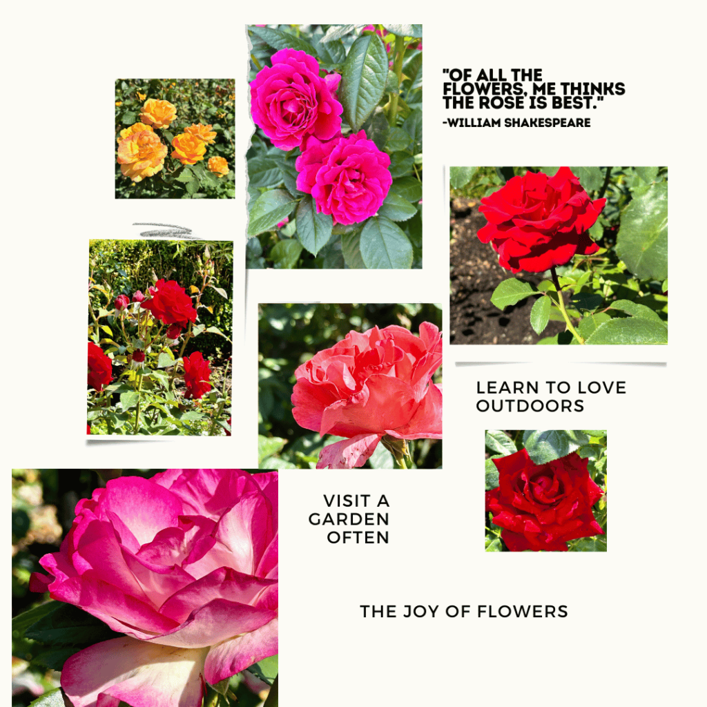 discover the joy of flowers